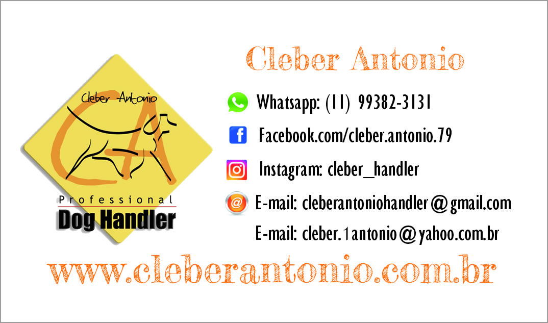 SITE UNDER CONSTRUCTION